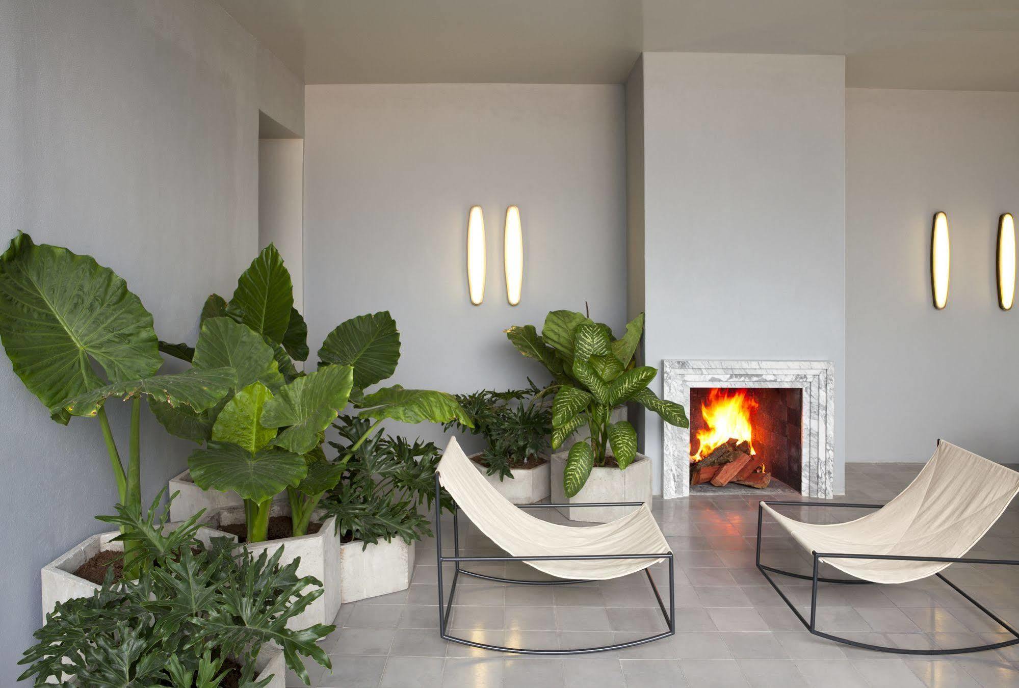 Casa Habita, A Member Of Design Hotels Guadalajara Eksteriør billede
